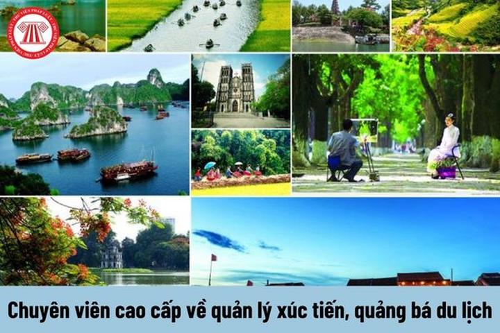 Huang Yoyo: Shop này dựa trên thiết kế basic, nhưng lại trẻ trung và phong cách.