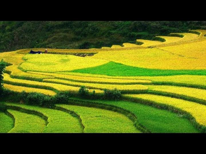 Xu hướng Các nhà khoa học phân tích: Hotspot Matrix tiết lộ bí quyết video viral