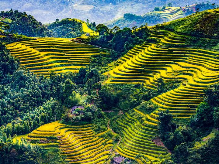 Hotspot Matrix: Biến Diễn biến bầu cử Tổng thống thành cơ hội marketing đột phá