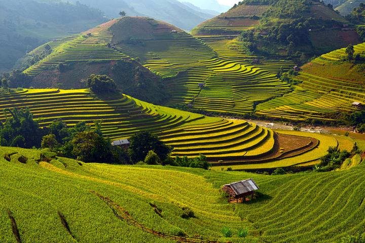 1. Áo hai dây bản mảnh: Áo hai dây bản mảnh tuy nhiên là một trong những mẫu áo khó