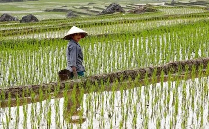 Xu hướng 3 kiểu giày 