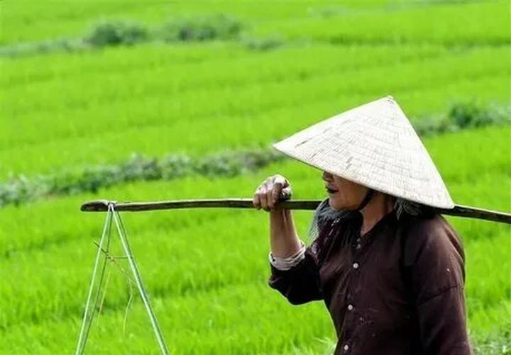 Phim Trung Quốc chiếu 7 năm - Cảm hứng video marketing từ Hotspot Matrix