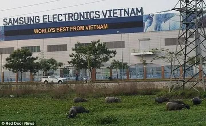 Kể Chuyện Lịch Sử: Từ Đam Mê Đến Triệu Lượt Xem Trên Hotspot Matrix
